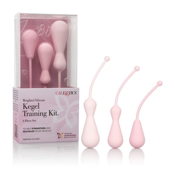 0017865_inspire-vibrating-silicone-kegel-training-kit-pink_smmzytlhpcle0eqk.jpeg